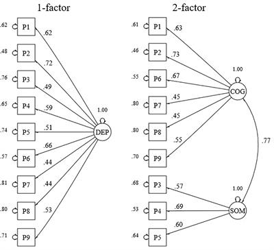 Are the PHQ-9 and GAD-7 Suitable for Use in India? A Psychometric Analysis